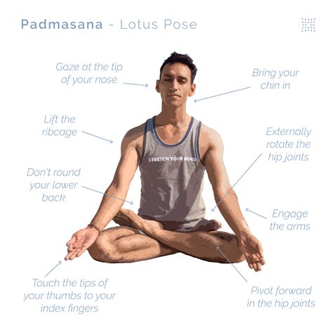 Lotus Position .